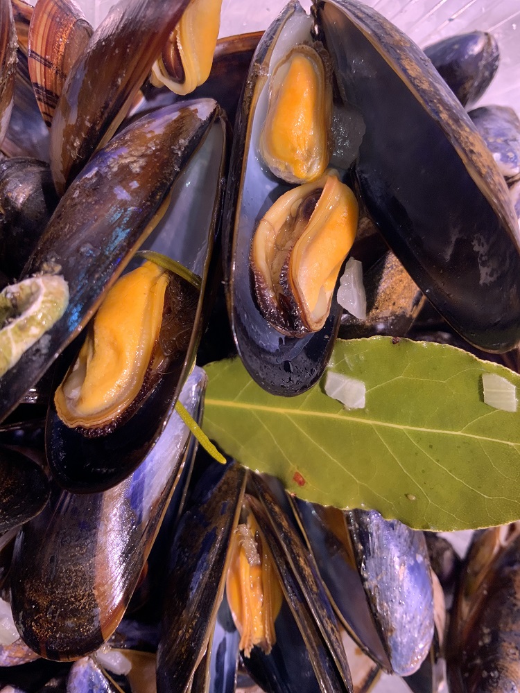 poissonnerie salon de provence-poissons frais miramas-restaurant arles-plateaux de fruits de mer les alpilles-traiteur grans-degustation de vin saint chamas-restaurant de poisson pelissanne