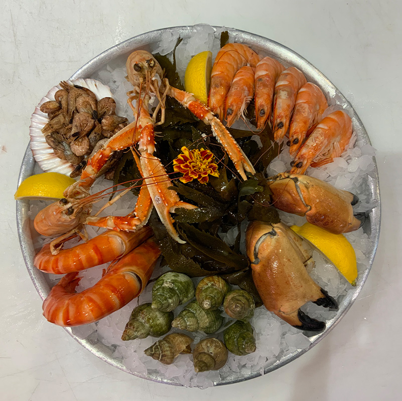 poissonnerie salon de provence-poissons frais miramas-restaurant arles-plateaux de fruits de mer les alpilles-traiteur grans-degustation de vin saint chamas-restaurant de poisson pelissanne