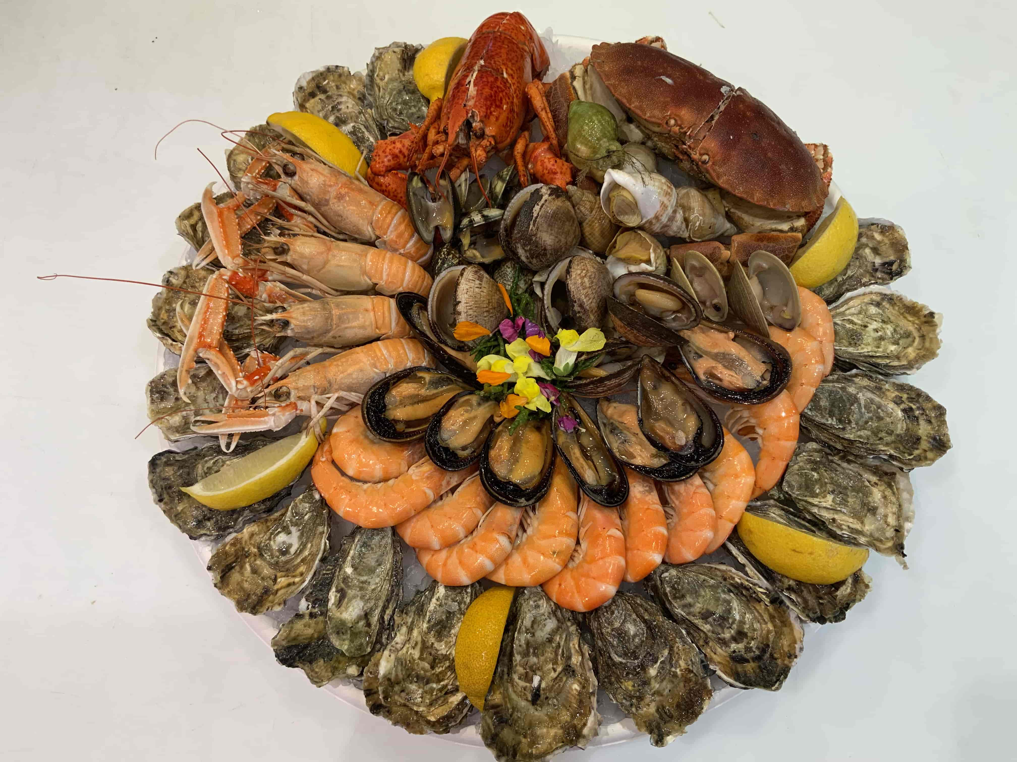 poissonnerie salon de provence-poissons frais miramas-restaurant arles-plateaux de fruits de mer les alpilles-traiteur grans-degustation de vin saint chamas-restaurant de poisson pelissanne