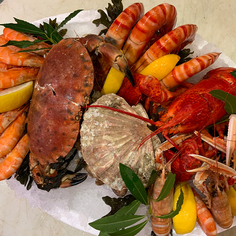 poissonnerie salon de provence-poissons frais miramas-restaurant arles-plateaux de fruits de mer les alpilles-traiteur grans-degustation de vin saint chamas-restaurant de poisson pelissanne